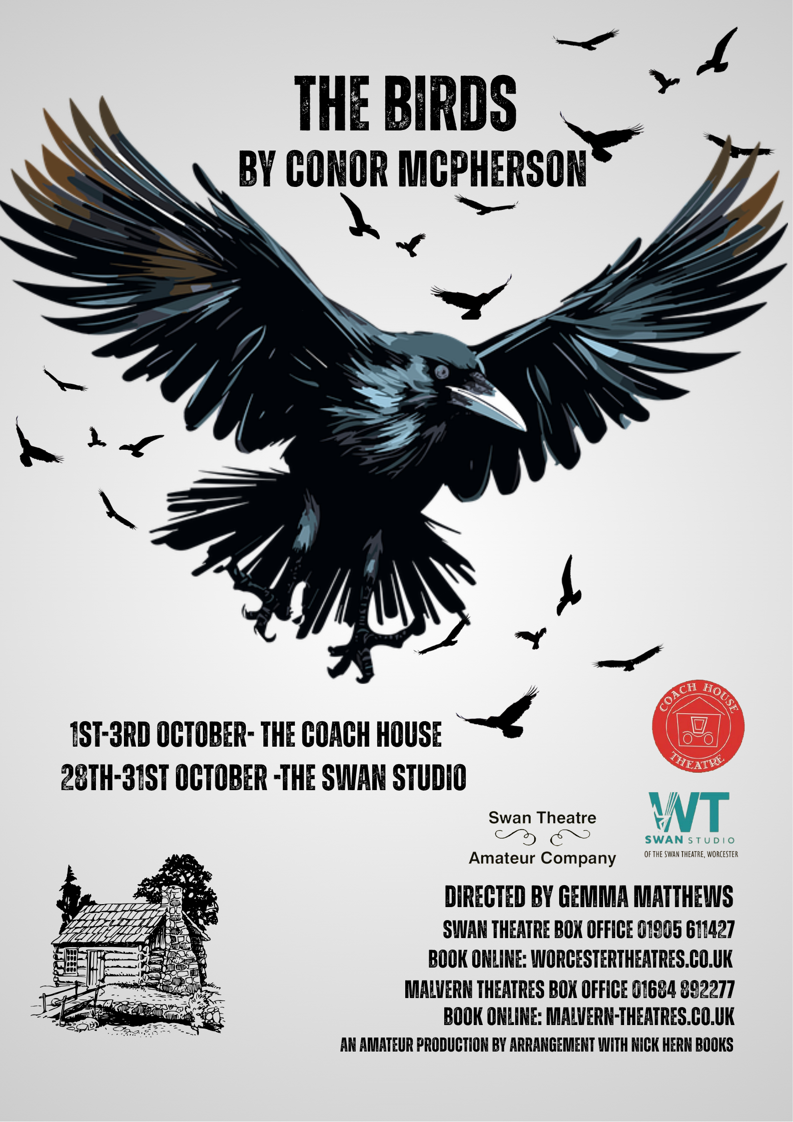 The Birds Poster
